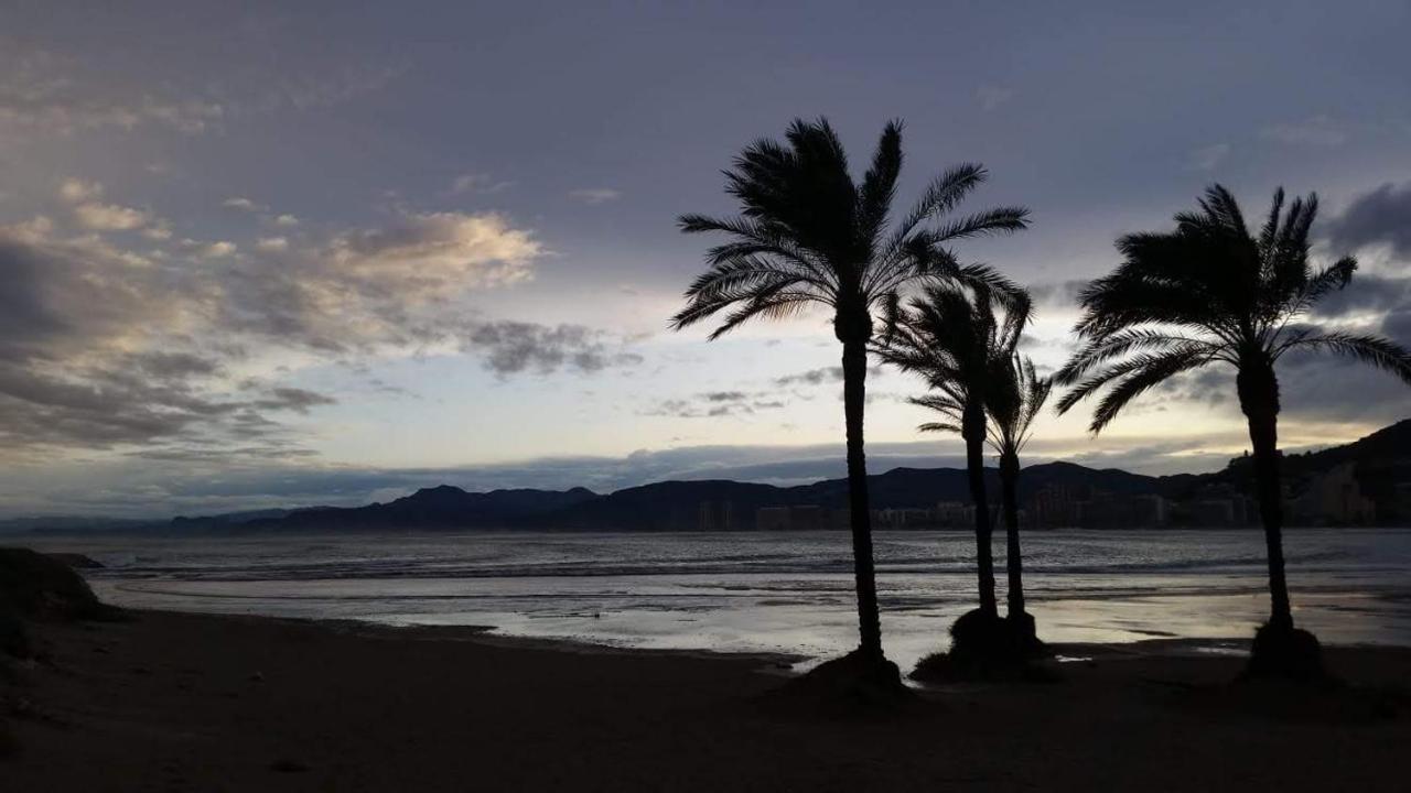 Appartement Vue Mer 40 Metres De La Plage Cullera Dış mekan fotoğraf